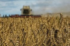 A combine harvests wheat in a field near the village of Zghurivka, amid Russia’s attack on Ukraine, in Kyiv region on Aug. 9, 2022.