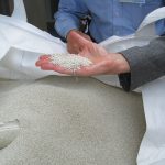 Struvite-based fertilizer can replace some phosphorus fertilizer.