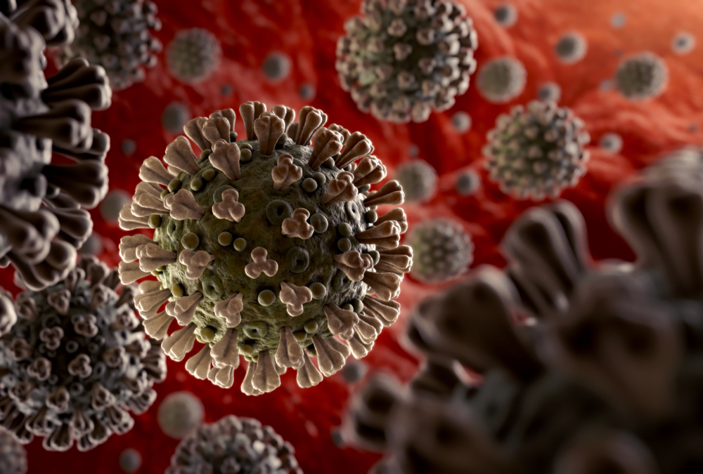 The main drivers of viral emergence in the human population are humans and their actions.