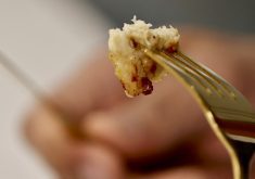 A cooked piece of cultivated chicken breast created at the UPSIDE Foods plant, where lab-grown meat is cultivated in January 2023.