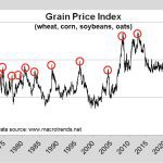 Data drawn from www.macrotrends.net shows peaks in the grain price index, and their corresponding valleys, since 1970.
