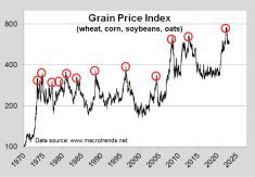 Data drawn from www.macrotrends.net shows peaks in the grain price index, and their corresponding valleys, since 1970.