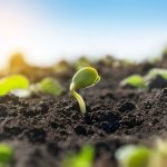 Soybean complex crushed by selloffs