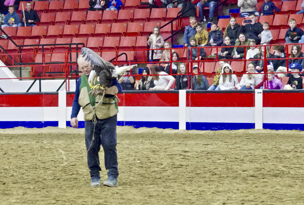 Birds of prey get a moment in the spotlight in the Keystone Centre’s main arena, slated for upgrades, during the 2023 Royal Manitoba Winter Fair.