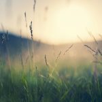 Comment: Off-season opportunity to learn from other farmers