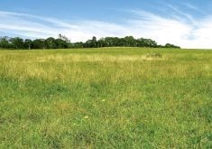 Letters: Crown land changes botched