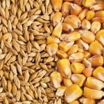 (Photo courtesy Canada Beef Inc.)
