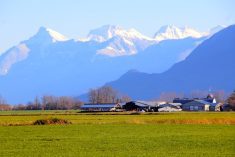 A Farm landscape with mountains in the background.