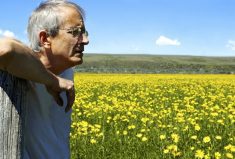 The contents of a recent report on a looming retirement crunch in Canadian farmers really isn’t a huge surprise.