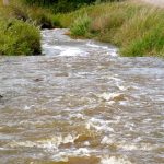 High moisture content from last fall has heightened Manitoba’s flood situation.