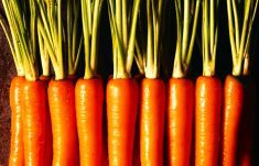 “We need a lot of stuff.” – Wayne Rempel.