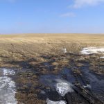 File photo of a southern Alberta field as spring approaches. (BrendanHunter/iStock/Getty Images)