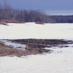 Fields near Altamont, Man., show their first signs of melting in the second week of April. 