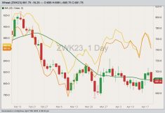 CBOT May 2023 soft red winter wheat with 20-day moving average, MGEX May 2023 hard red spring wheat (yellow line, left column) and K.C. May 2023 hard red winter wheat (orange line, left column). (Barchart)
