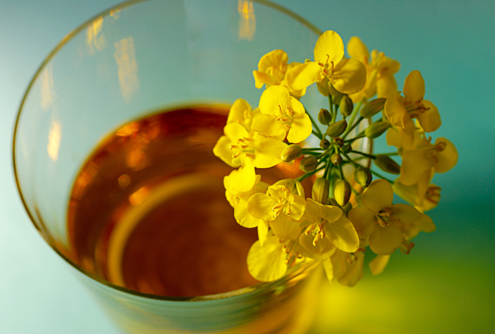 There’s little doubt the abundance of oilseeds in the world market will weigh on prices.