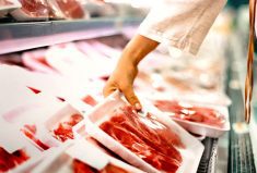 With North American cattle herds dipping to 60-year lows, the free flow of trade between the two countries is more important than ever to keep meat on consumers’ tables.