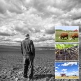 It’s not going to be enough to have the Sustainable Agriculture Strategy on paper, it needs to work on the ground and it needs to make economic sense, local farmers stress.