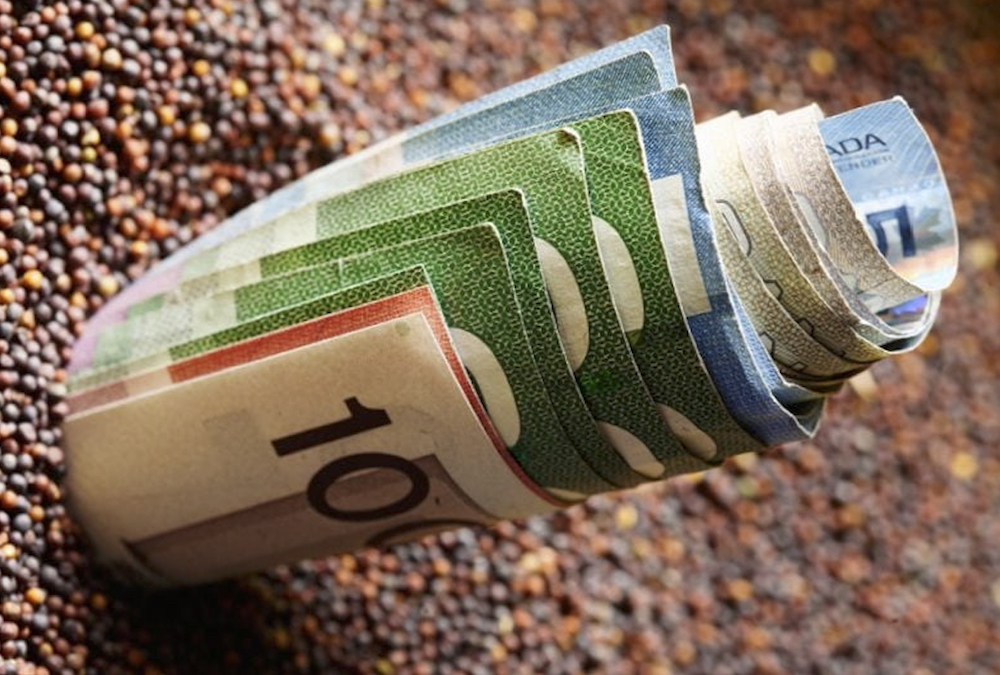 The latest activity in canola markets has more to do with speculators buying back short positions.