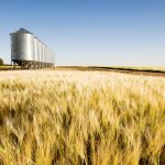 Resolving the barley dispute is a starting point. It will also demonstrate that a rules-based
global trading system can influence China’s behaviour.