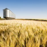 Resolving the barley dispute is a starting point. It will also demonstrate that a rules-based global trading system can influence China’s behaviour.