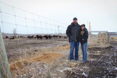Erin and Jason Boily say activities on their ranch help pass values to their kids and also aids their Métis community.