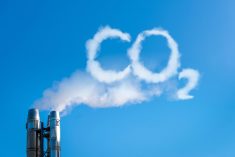 There’s nothing neutral about carbon neutrality and wishful thinking won’t make it so.