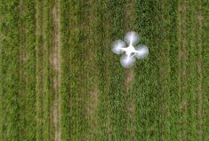 Comment: Beware of flash instead of substance