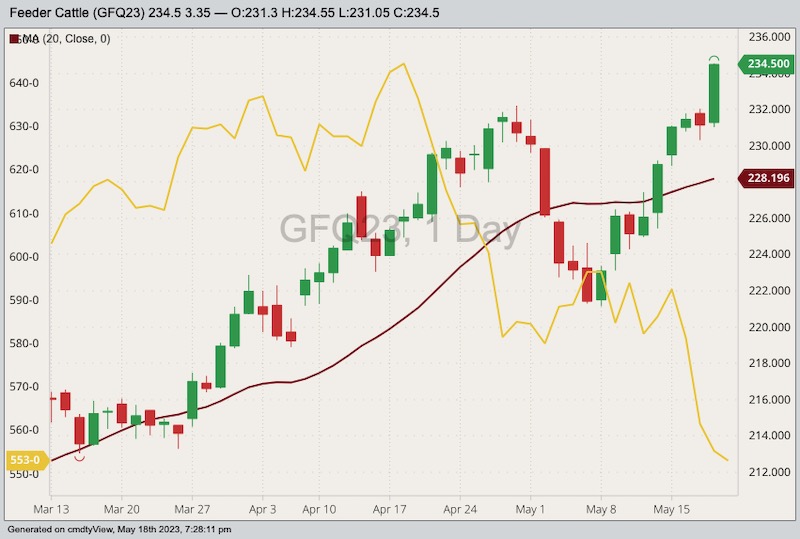 CME August 2023 feeder cattle with 20-day moving average (red line, right column) and CBOT July 2023 corn (yellow line, left column). (Barchart)
