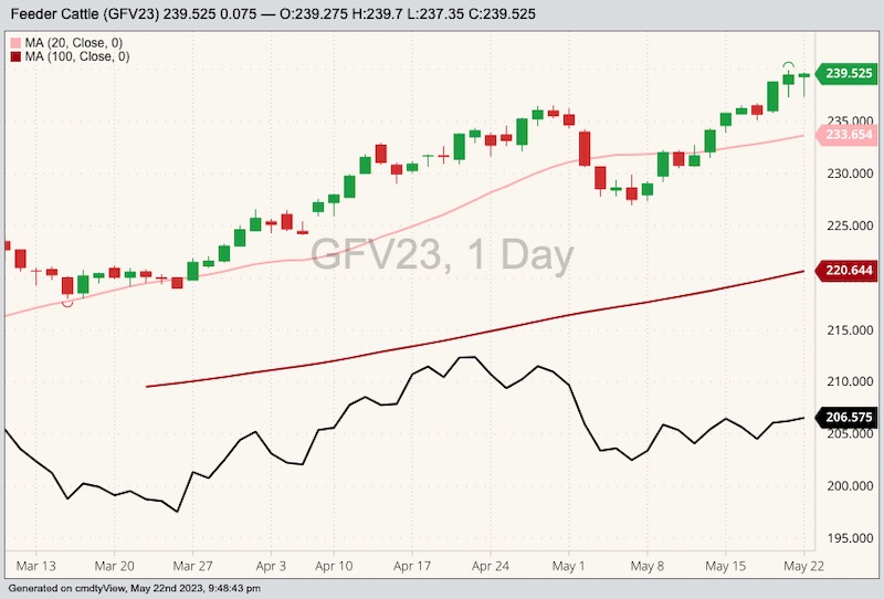 CME October 2023 feeder cattle with 20-, and 100-day moving averages and May 2023 feeder cattle (black line). (Barchart)
