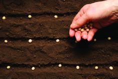 "You want to have a
stand establishment
of between 140,000 and
160,000 plants per acre.
That’s the range where
you’re going to maximize
your yield.”