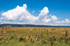 Many Manitoba producers have turned their attention from cattle marketing to spring seeding.
