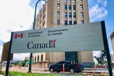 File photo of a federal office building in downtown Winnipeg. (Dave Bedard photo)