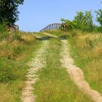 File: A dirt road.