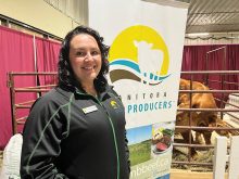 BCRC board member Melissa Atchison represents the beef sector at the 2023 Royal Manitoba Winter Fair.