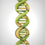 European organics ponder gene-editing coexistence