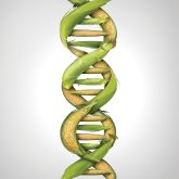 European organics ponder gene-editing coexistence