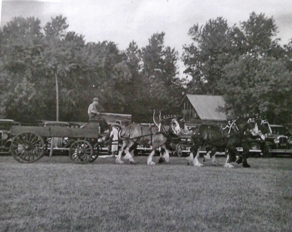 Toby Trimble Sr. shows his Clydesdales.