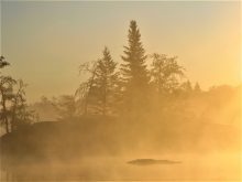 From June excitement to summer introductions with novice anglers, this species has plenty to offer.