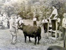 Fair attendees of past generations at the Portage Ex cattle show.