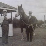 A historical horse show.