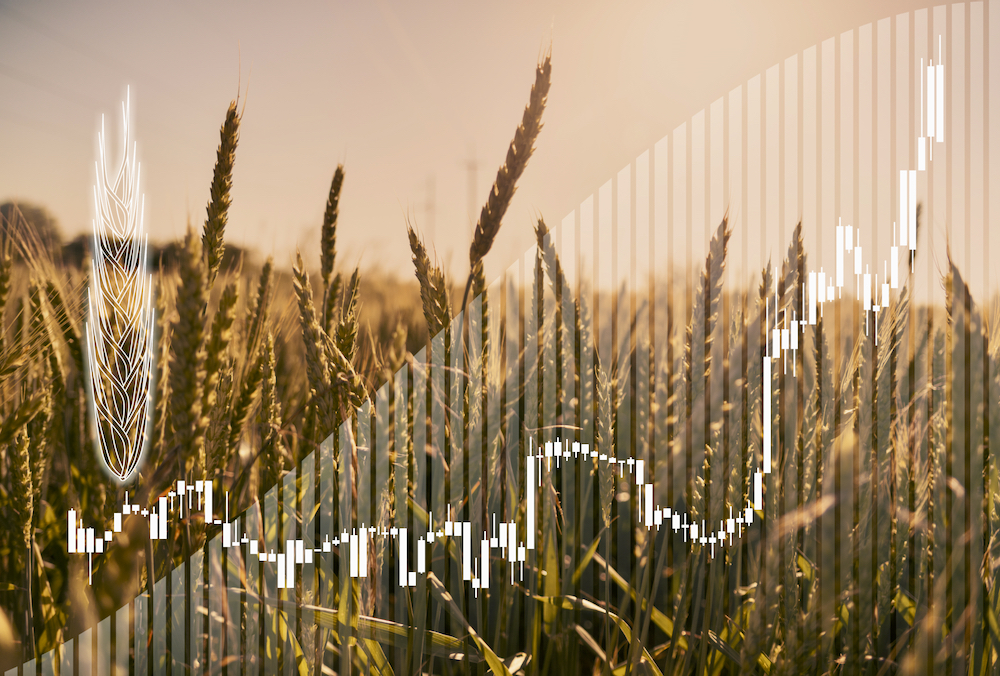 “The overall economy to me is going to be slowing down. It’s just a matter of when and the extent of it.” – J.P. Gervais.