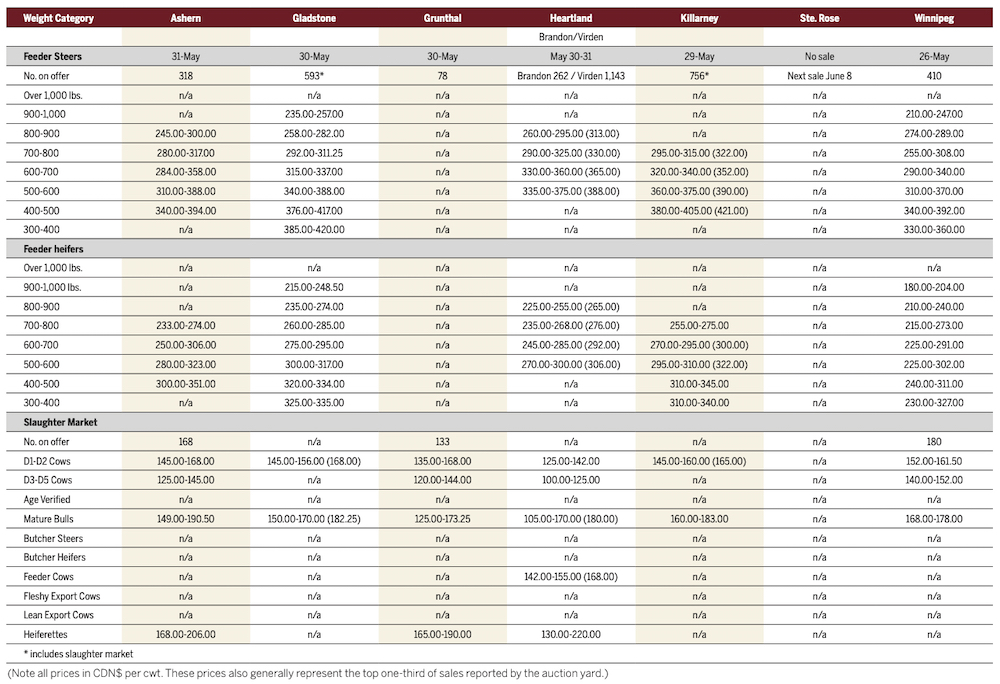 Cattle prices, temperatures stay hot