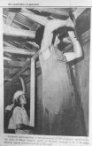 A Rural STEP work crew on the job near Russell, Man., in August 1973.