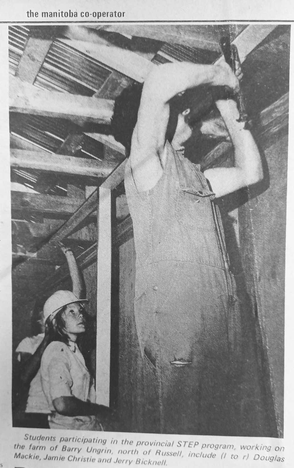 A Rural STEP work crew on the job near Russell, Man., in August 1973.