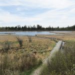 A boardwalk cuts over the water at Ominnik Marsh in western Manitoba.