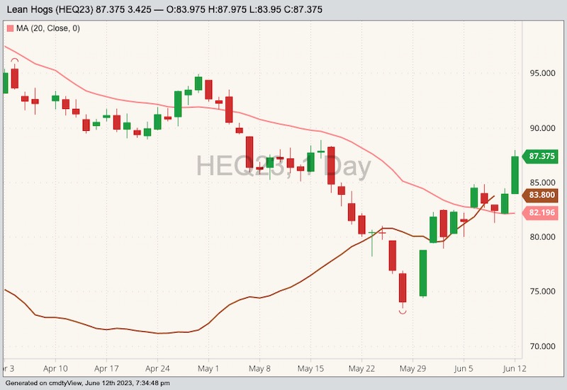 CME August 2023 lean hogs with 20-day moving average and CME cash lean hog index (brown line). (Barchart)
