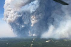 Smoke billows upwards from the Donnie Creek wildfire south of Fort Nelson, B.C. n June 11, 2023. (Photo: B.C. Wildfire Service handout via Reuters)
