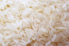 Rice is the modern-day canary in the coal mine warning farmers and governments alike that climate change carries real consequences.