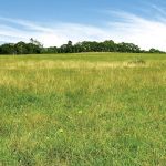 The current fair market value method of compensation for conservation easements is flawed, says a professor of agribusiness and agricultural economics at the U of M.