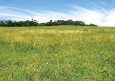 The current fair market value method of compensation for conservation easements is flawed, says a professor of agribusiness and agricultural economics at the U of M.